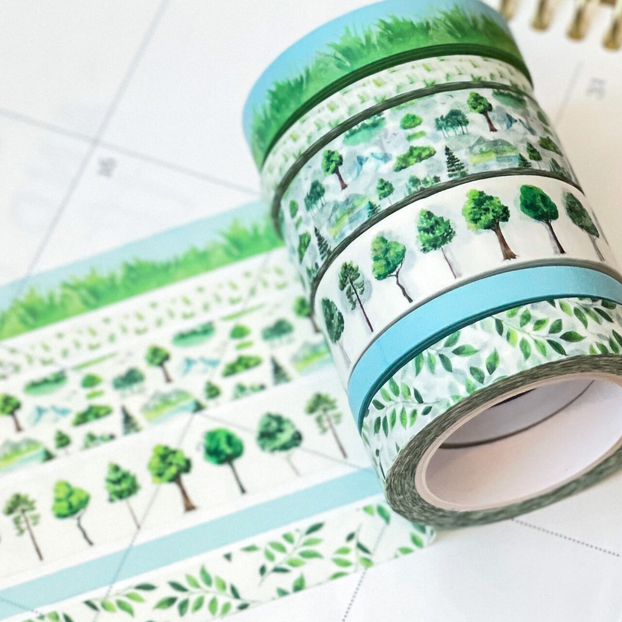 Green Trees Leaves & Grass Spring Succulents Eucalyptus & Botanicals Washi Tape Set (#W054)